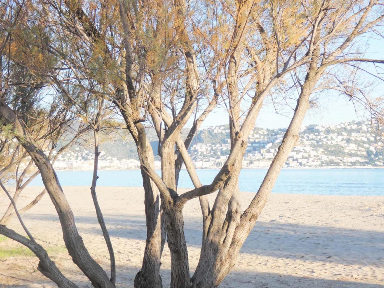 Mare Nostrum 132 Roses Bagian luar foto
